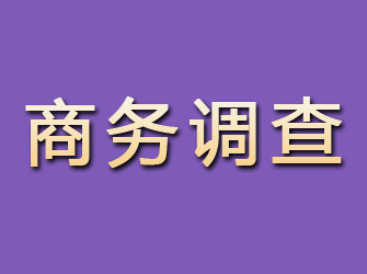 铅山商务调查